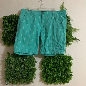 Turquoise shorts with pineapple print. Men’s 34.